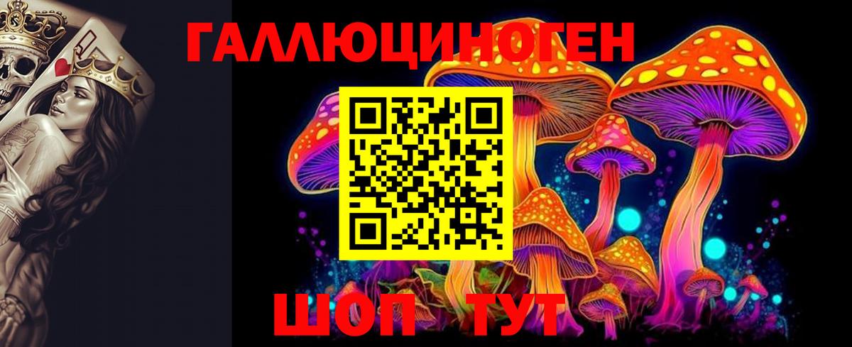 Солнечногорск  купить   Вход с VPN  Псилоцибиновые грибы Psilocybine cubensis 